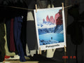 Patagonia poster A3 "rosa bergen"