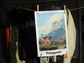 Patagonia poster A3 "lama"